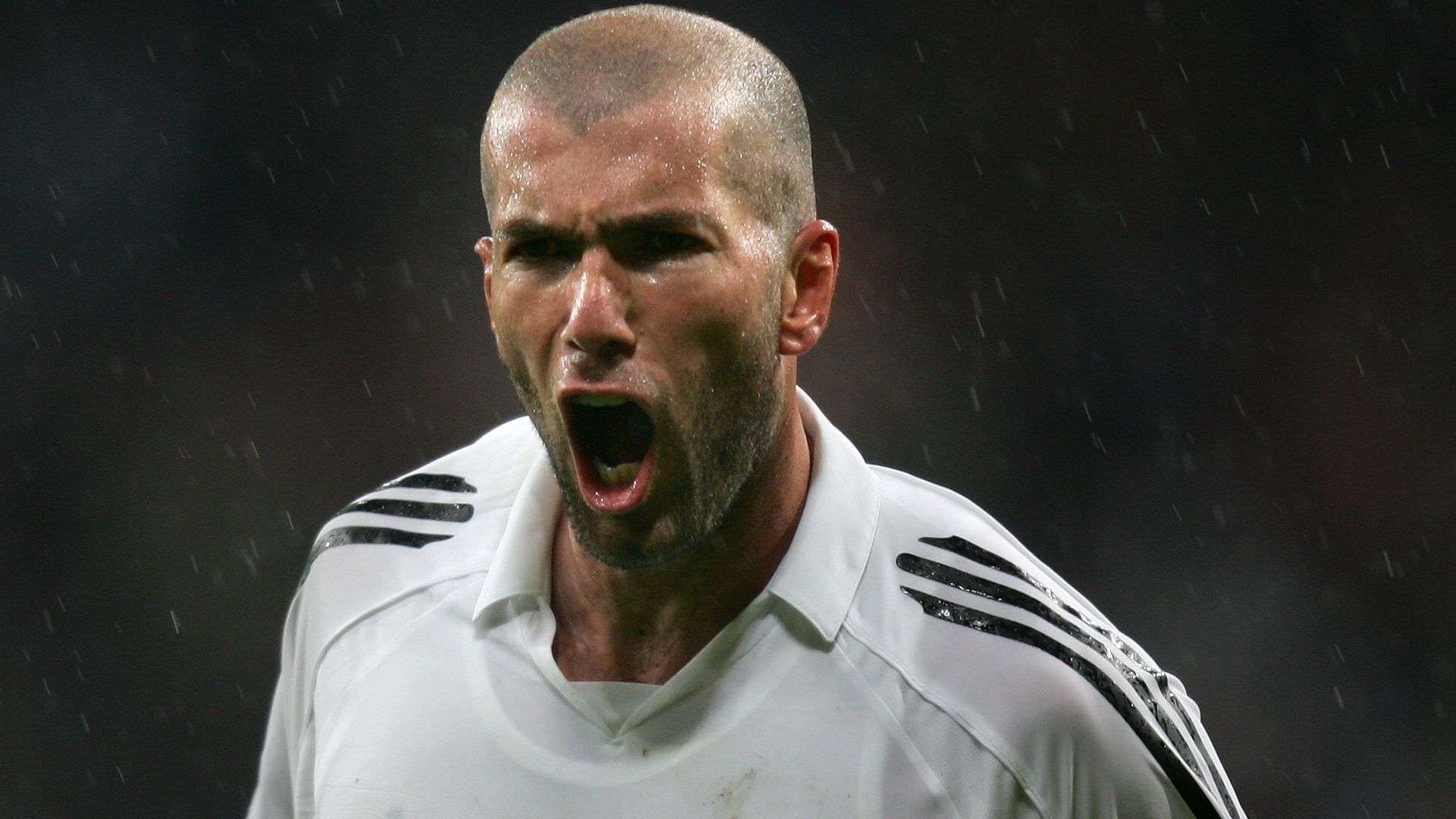 了长期以来 了长期以来